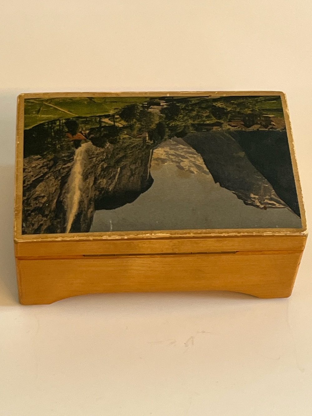 Vintage Alpine Swiss Mechanical Music Trinket Box - Cottagecore Decor